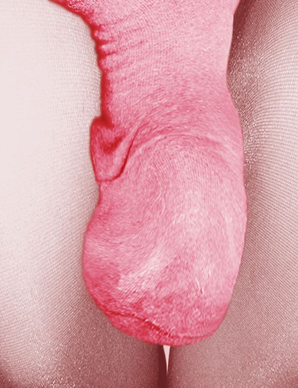 Pat Brassington, Drummer, 2005