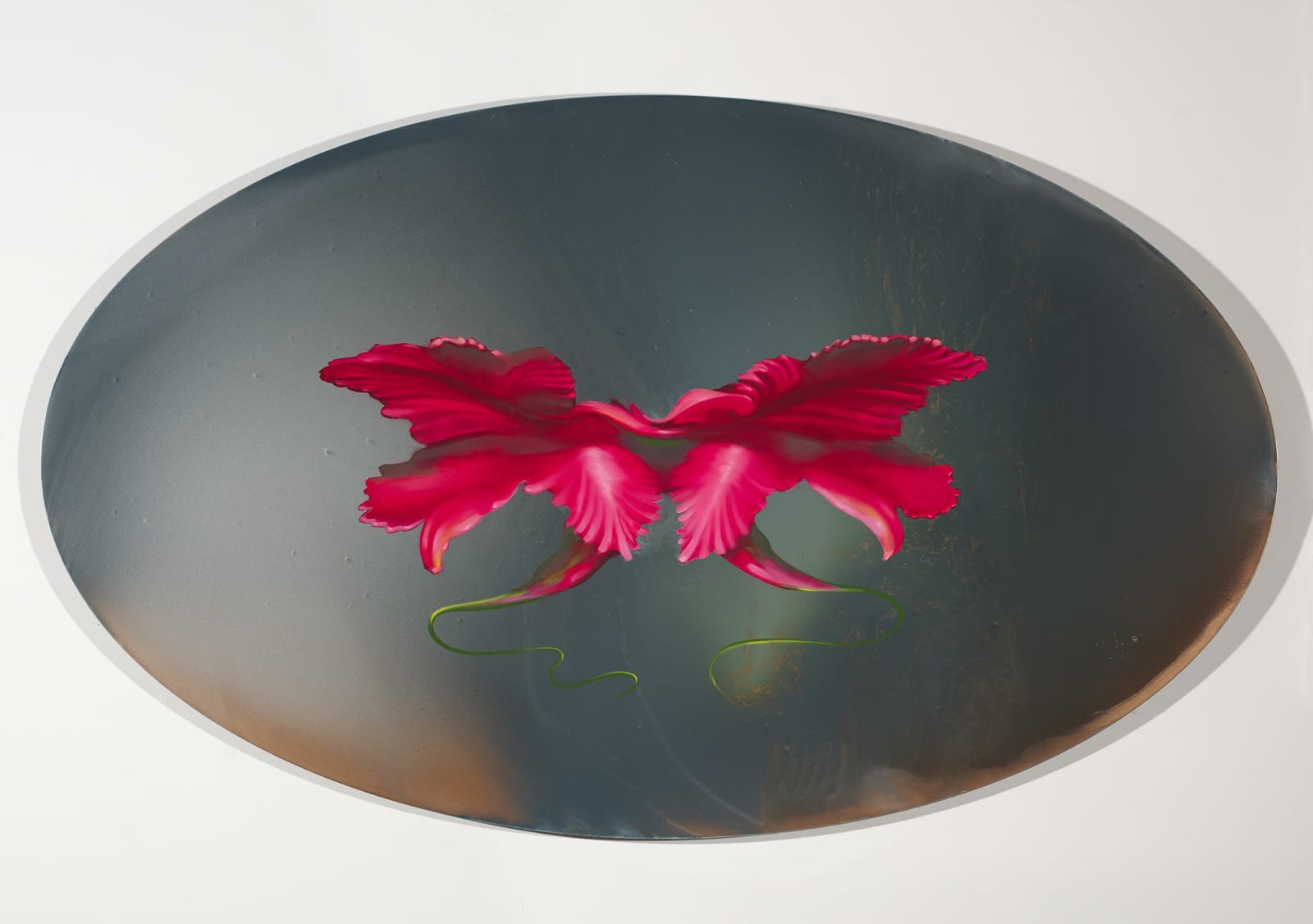 Megan Walch, Orchidelerium, 2019