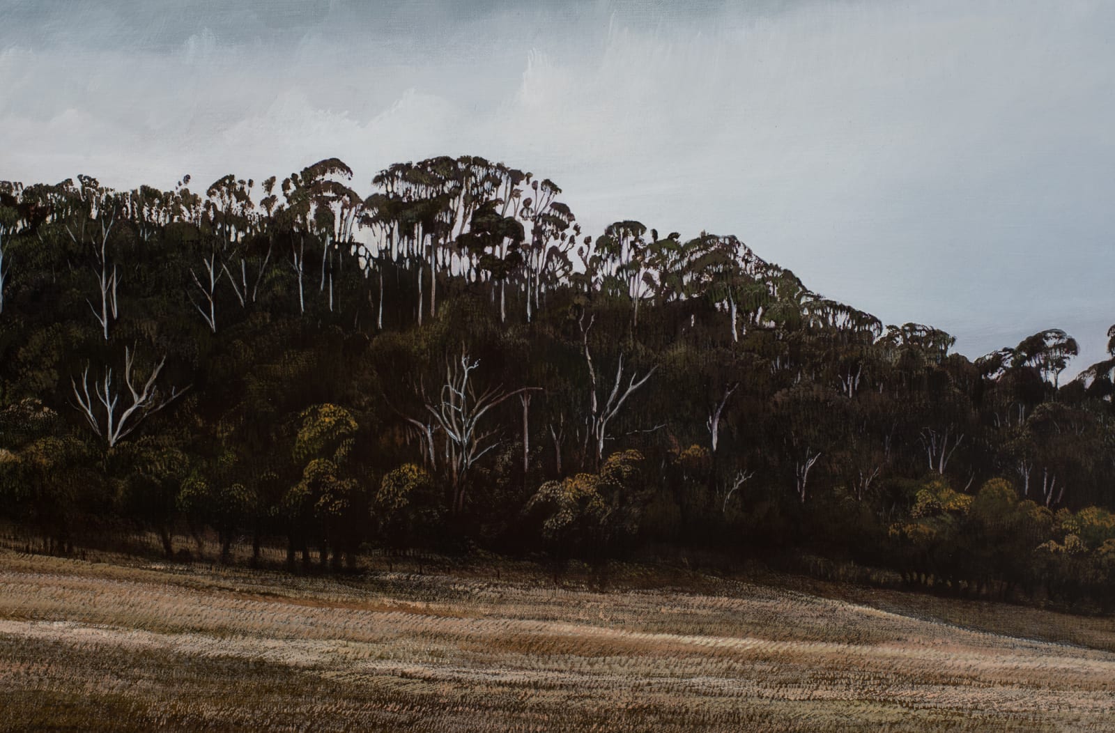 Stephanie Tabram, Wattle & Lamb, 2021