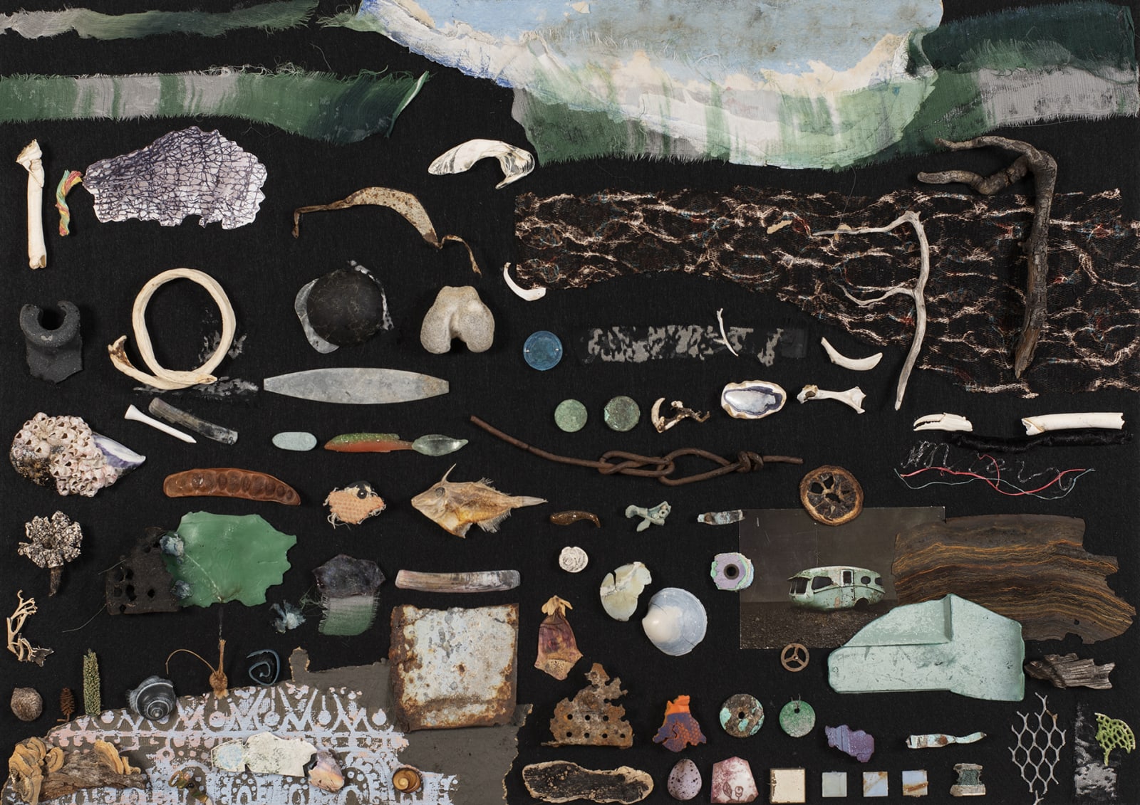 Irene Briant, Field Trip, 2020