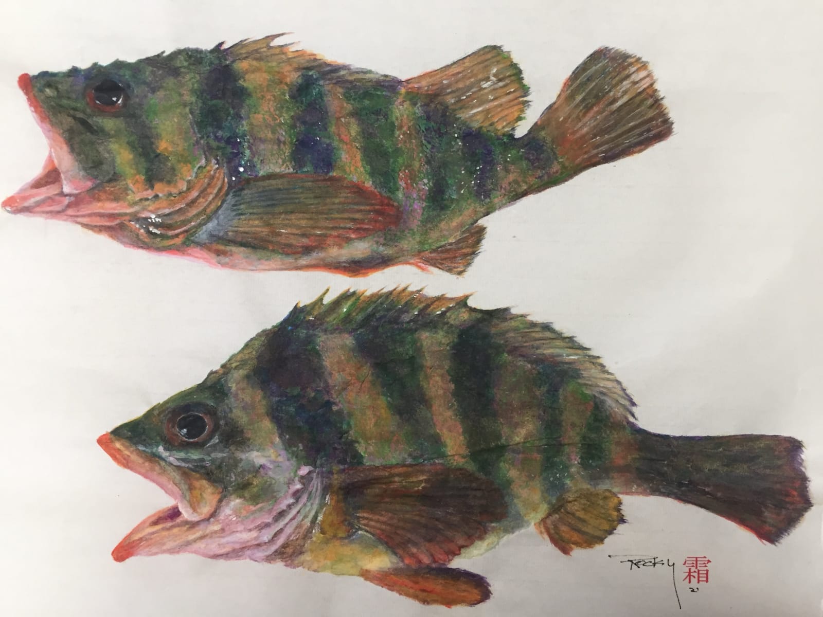 Rocky Frost, Tree Fish Rockfish #4
