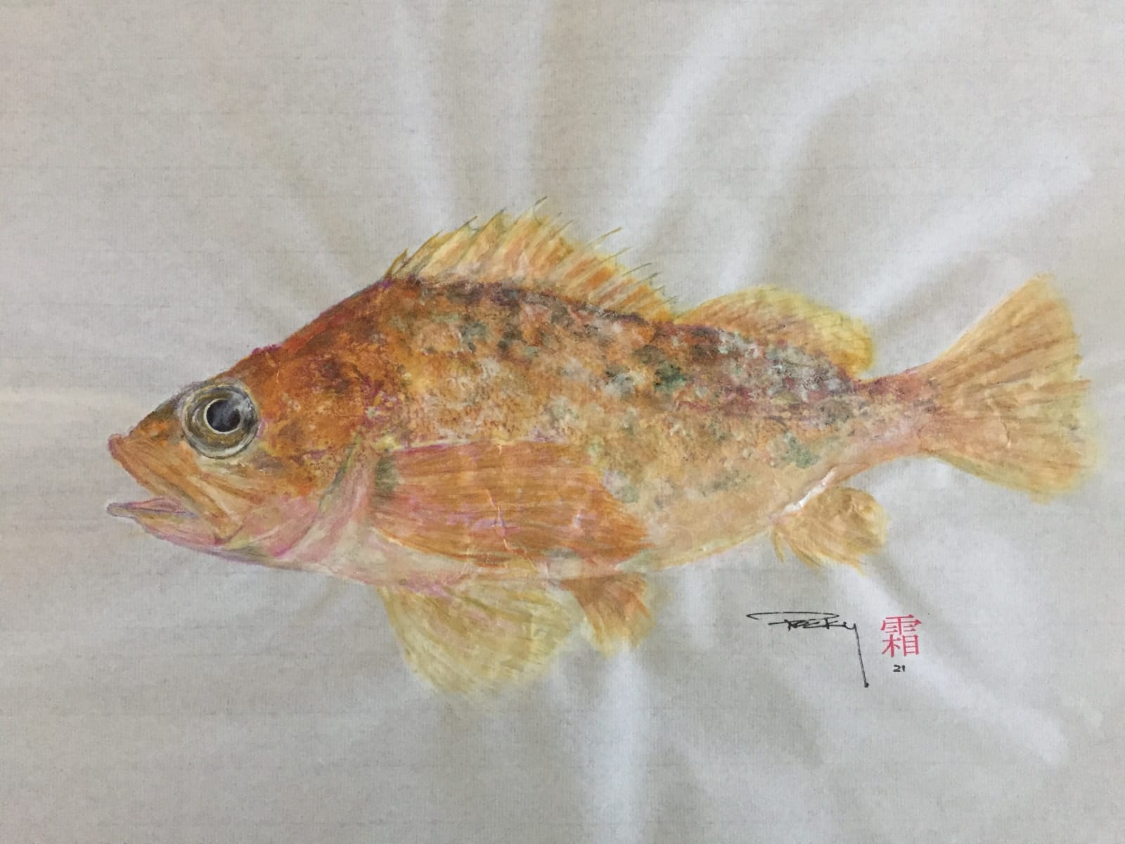 Rocky Frost, Kelp Rockfish #1