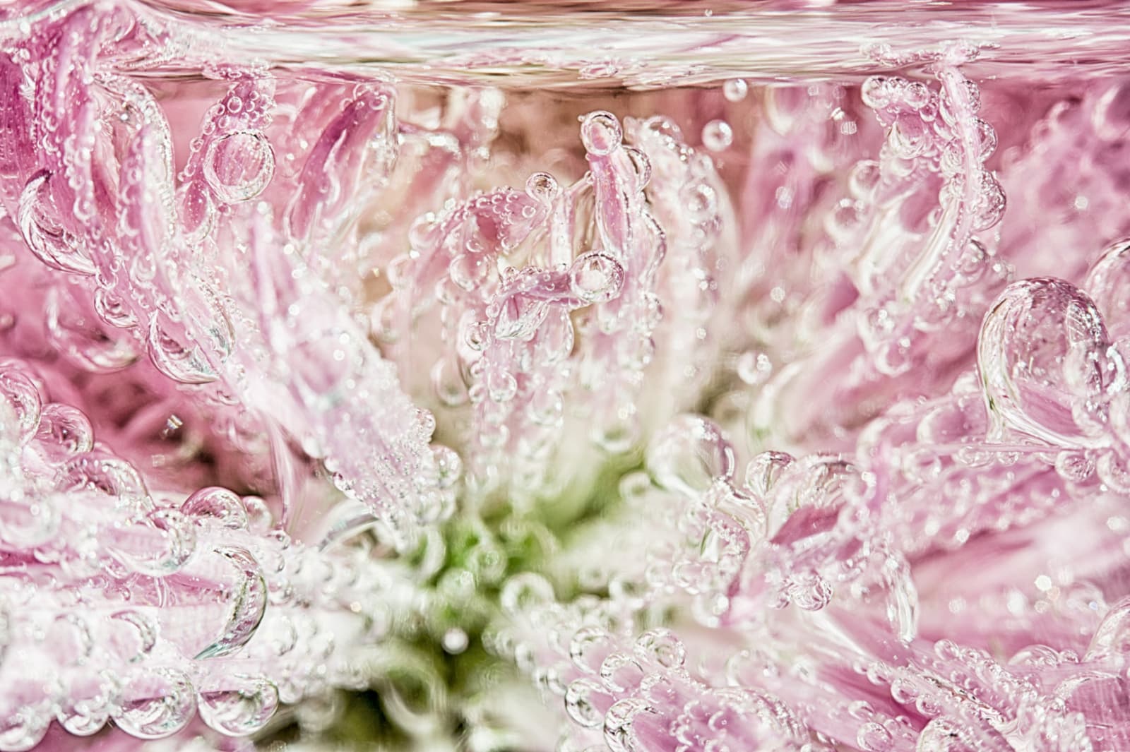 Robin Ward, Submerged: Into Infinity