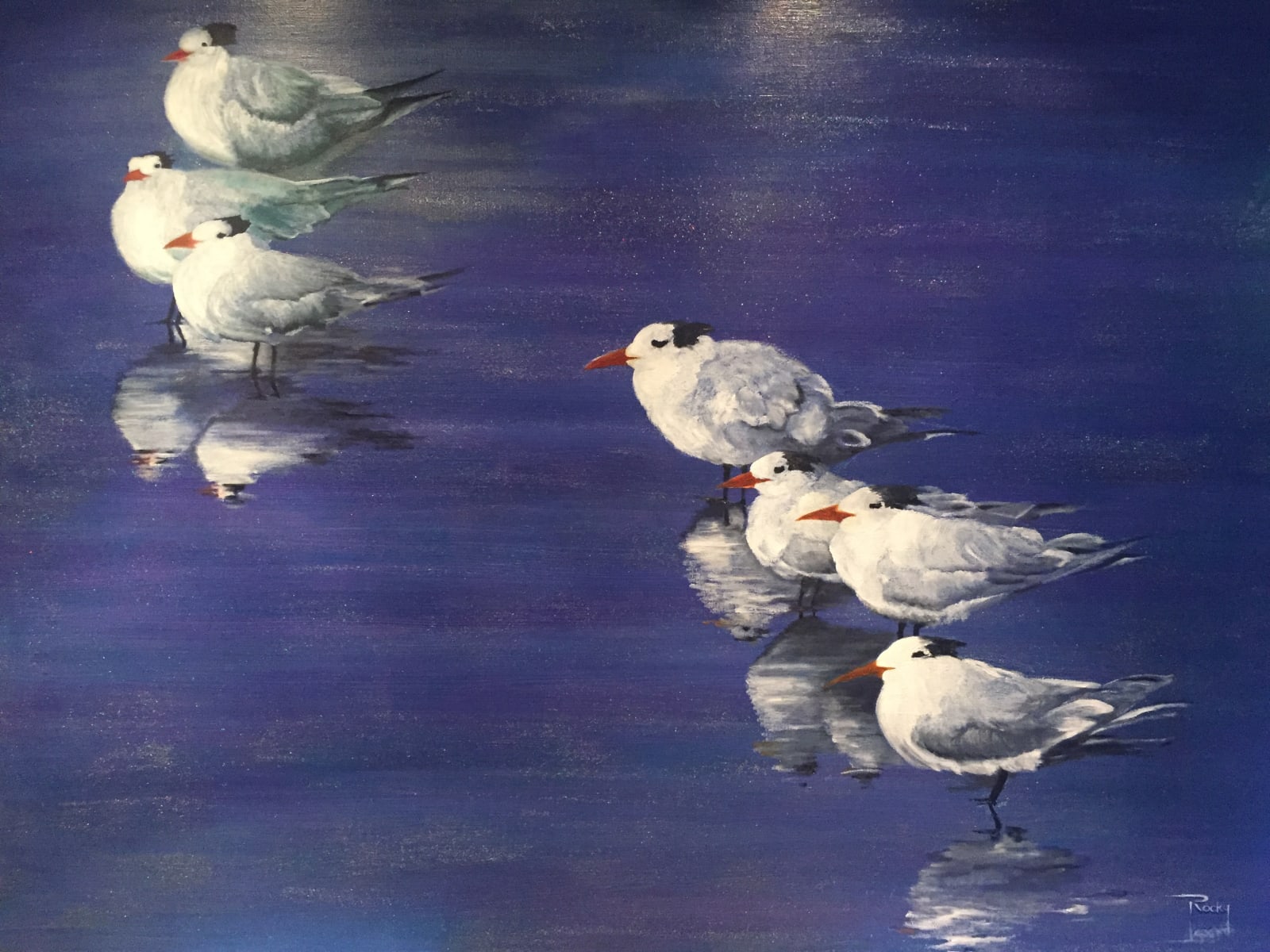 Rocky Frost, No! You, Terns