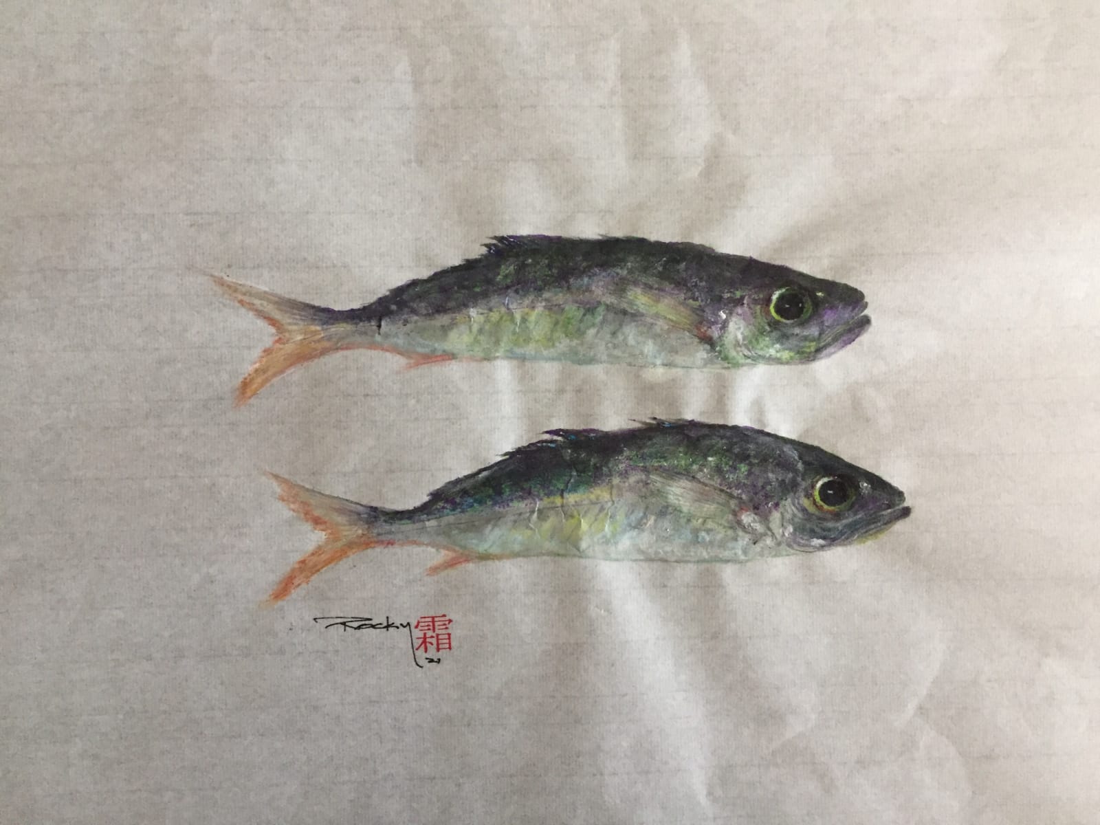Rocky Frost, Spanish Mackerel #2