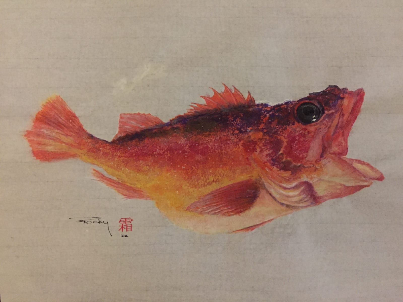 Rocky Frost, Starry Rockfish #6