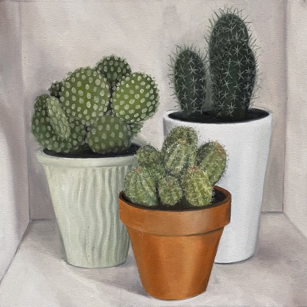 Isabel Jackson, Cacti