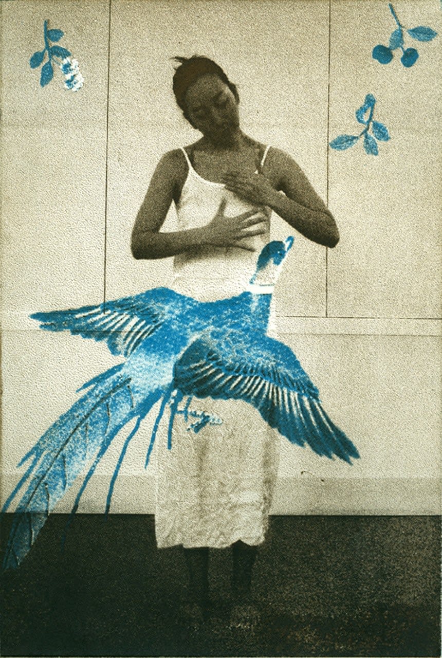 Margaret Ashman RE, Flight of Fancy