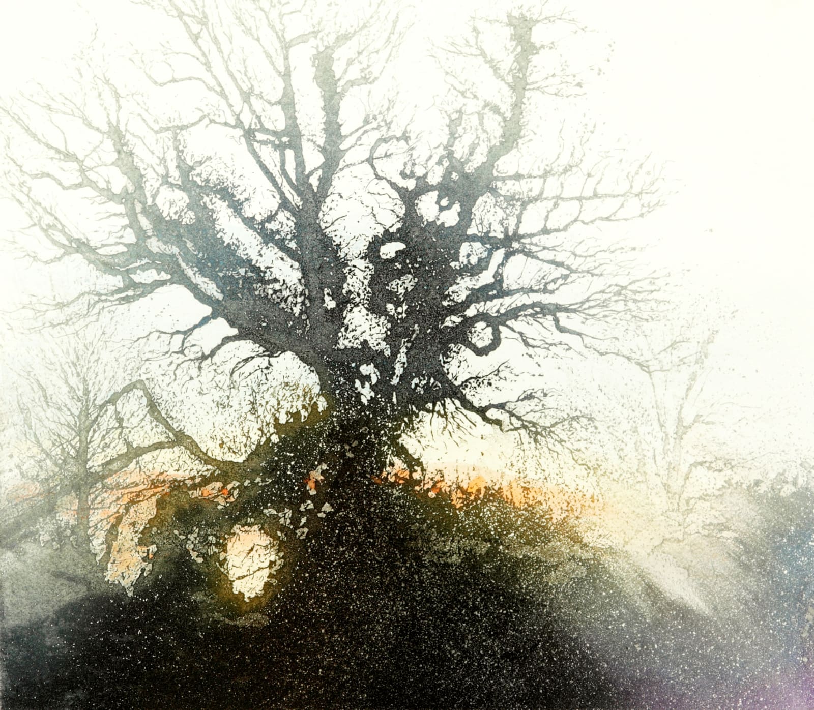 Jo Barry RE, In that Dawn to be Alive