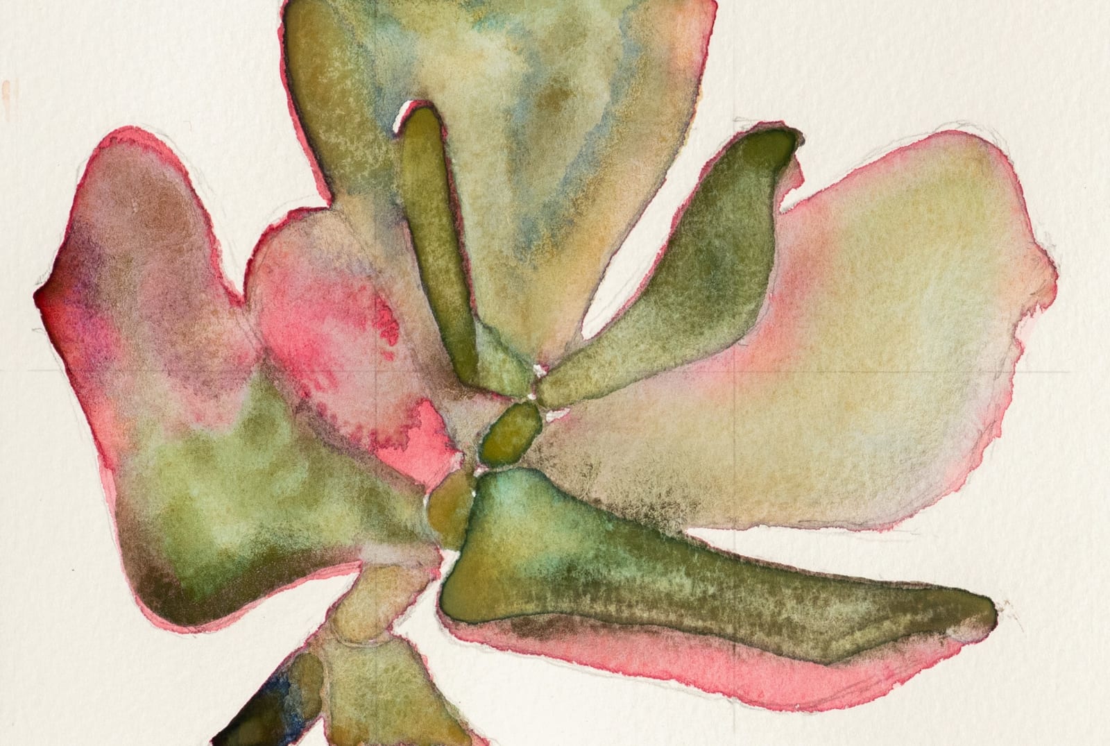 Noah Carter Guest RWS, Cotyledon Study