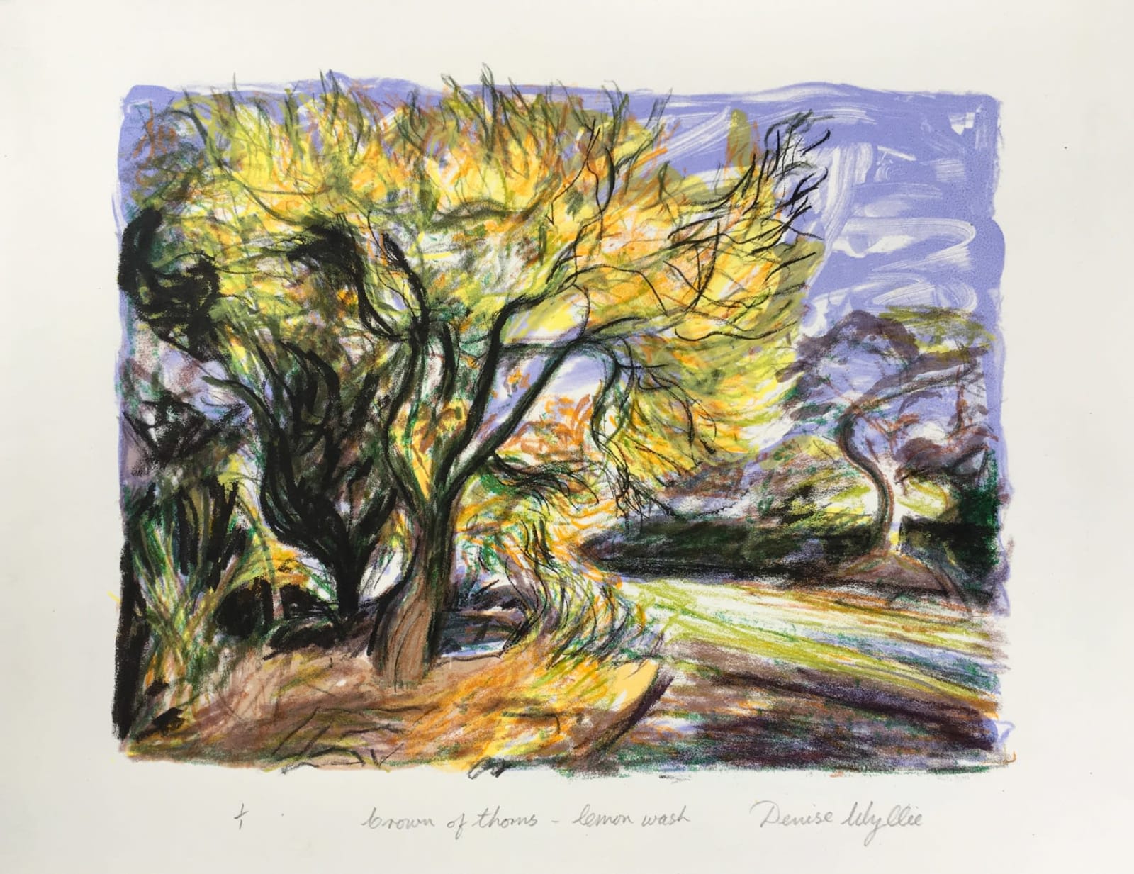 Denise Ballard-Wyllie ARE, Crown of Thorns - lemon wash