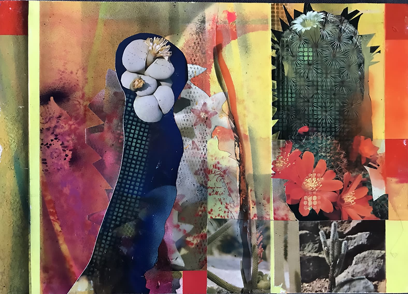 David Ferry PRE, Cacti Garden 8