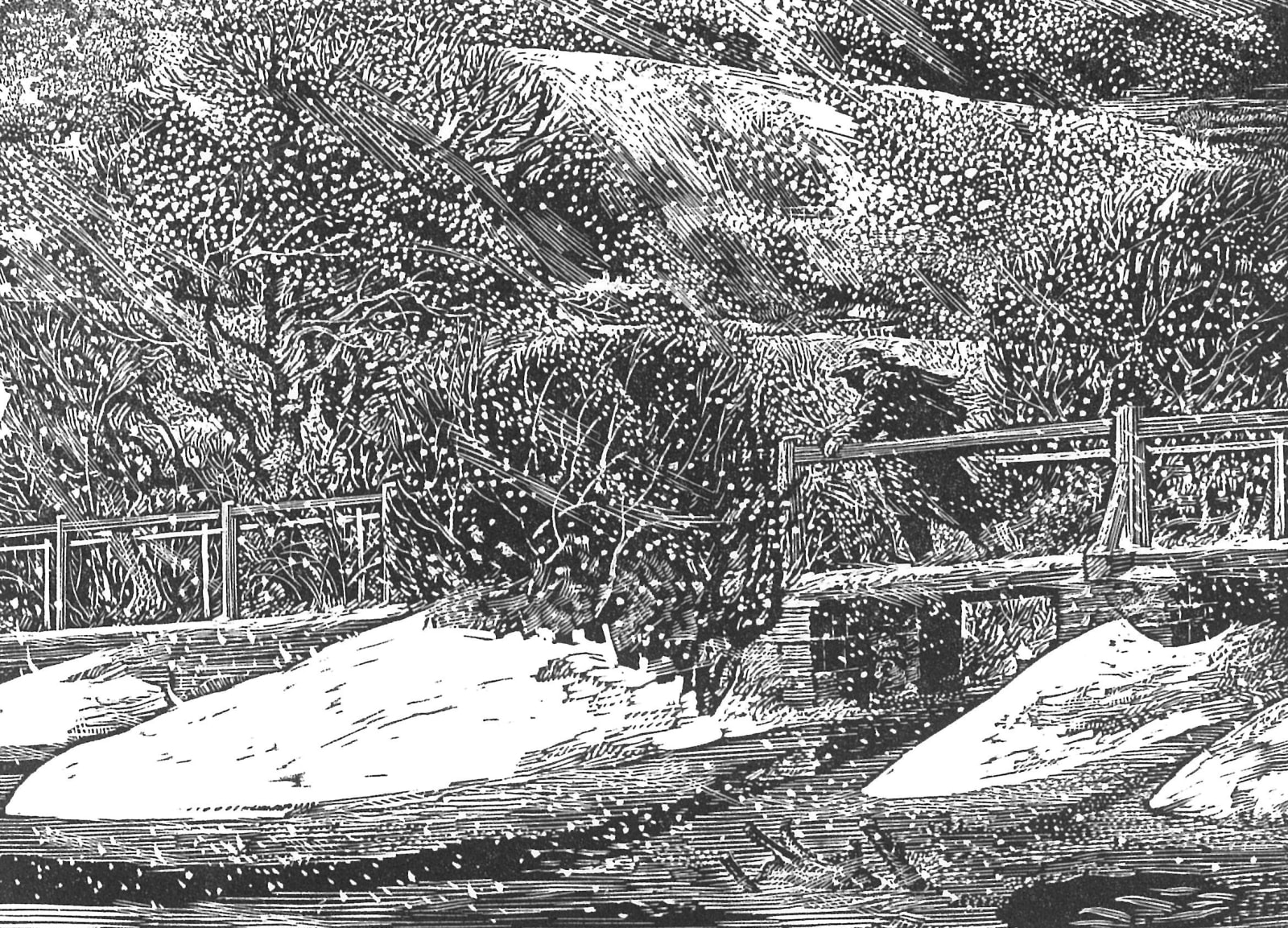 Ian Stephens RE, The Causeway Chill…