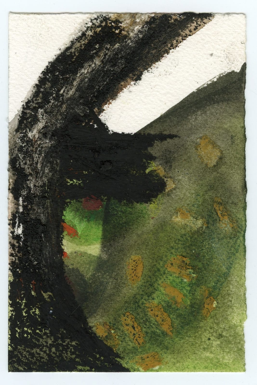 Miao Tan ARWS, Tree II