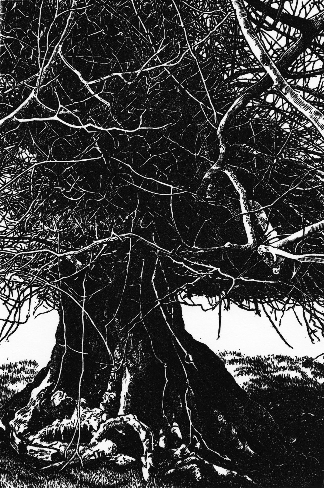 Blaze Cyan RE, A Complicated Life