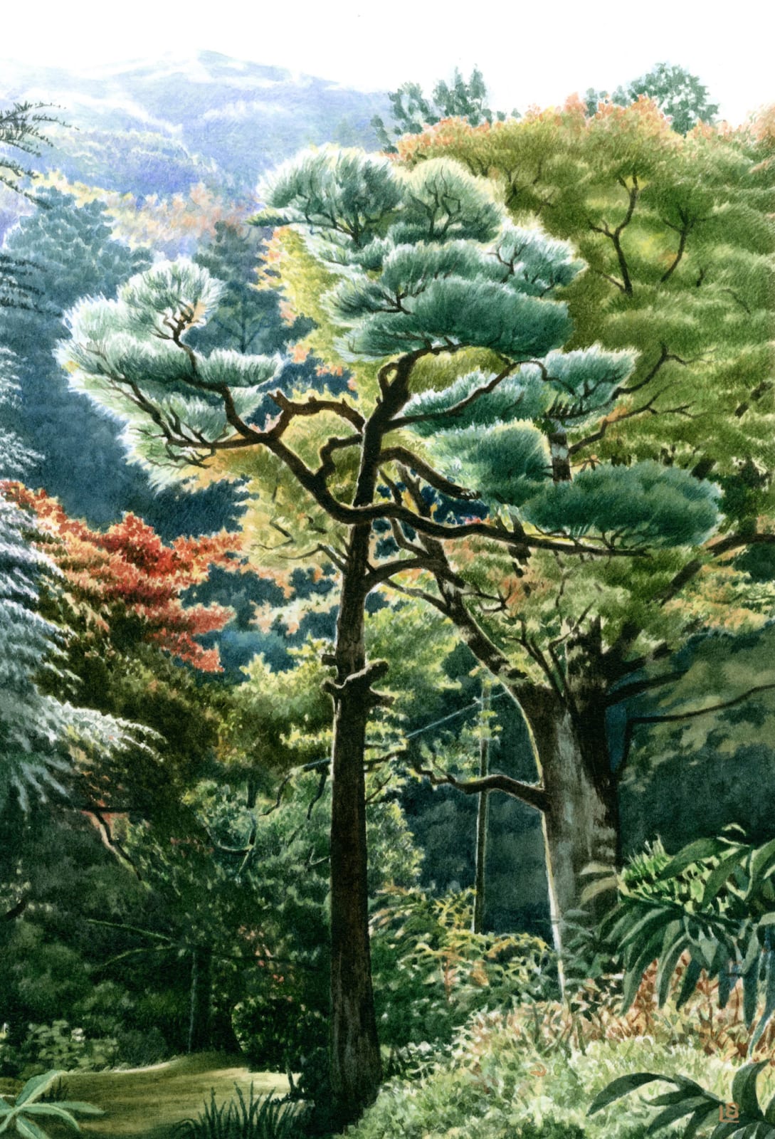 Liz Butler RWS, Garden at the Fujiya I