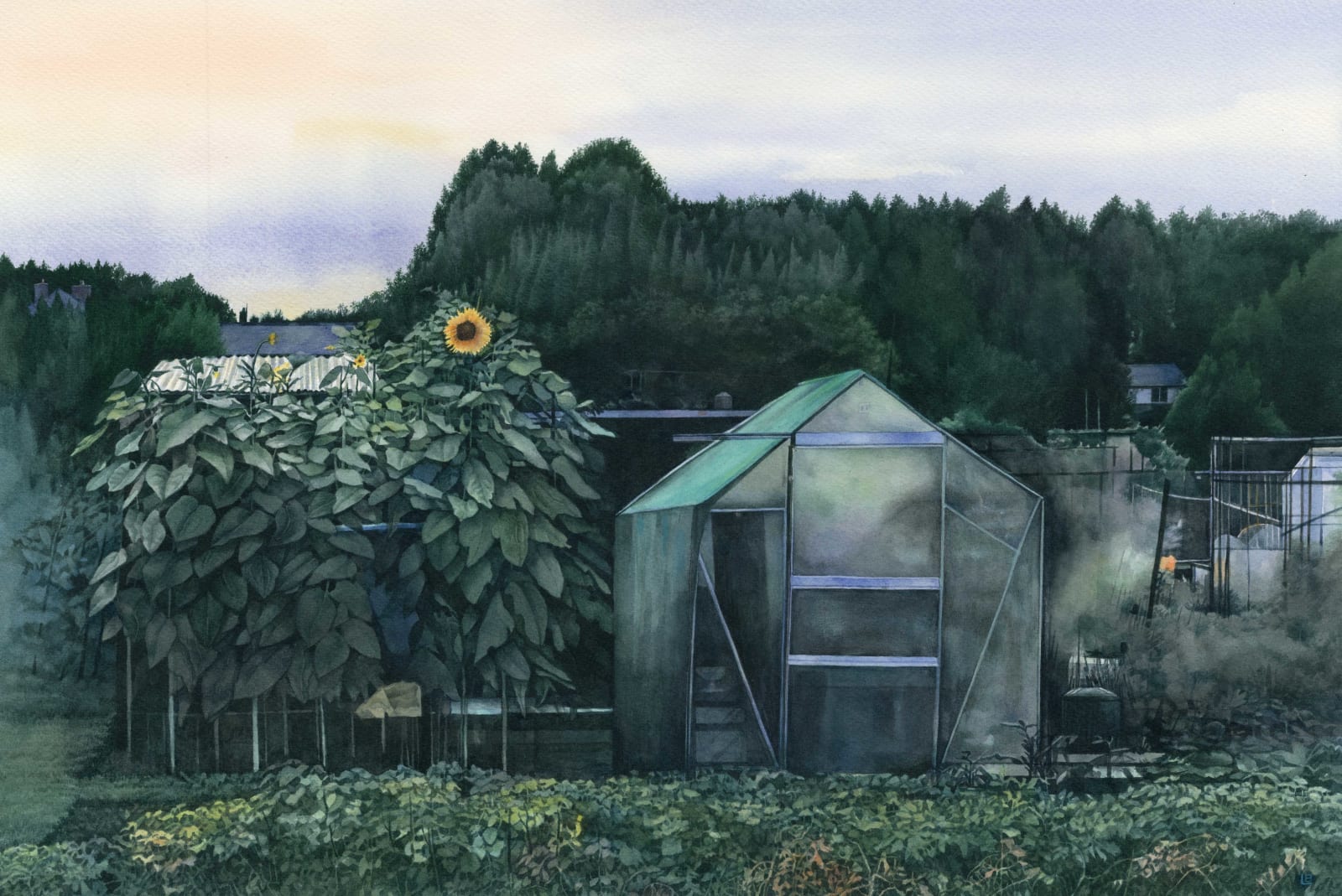 Liz Butler RWS, Dusk at the Allotments