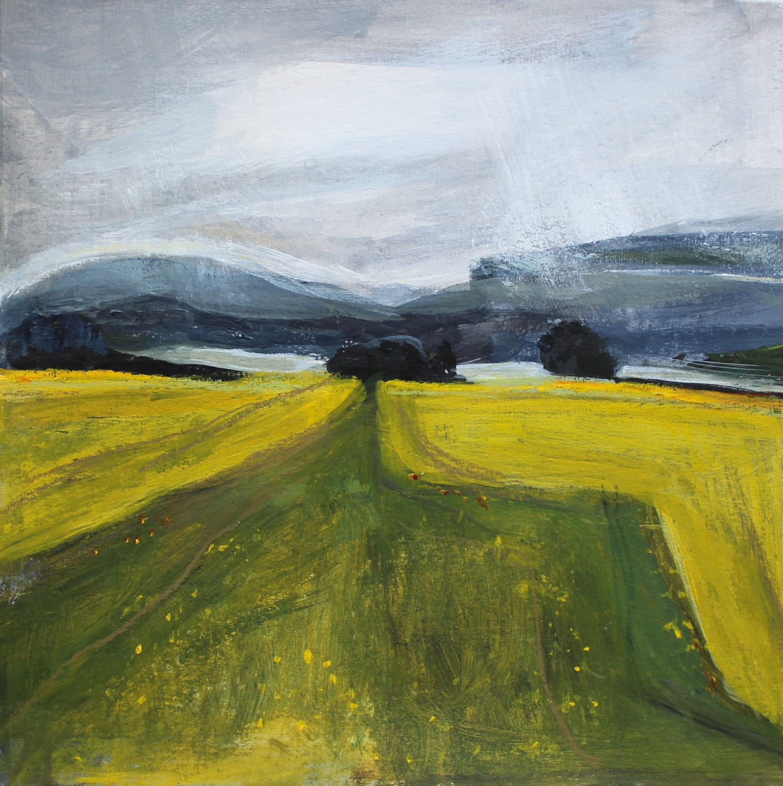 Olivia Adamczyk O'Sullivan RWS, French Field #23