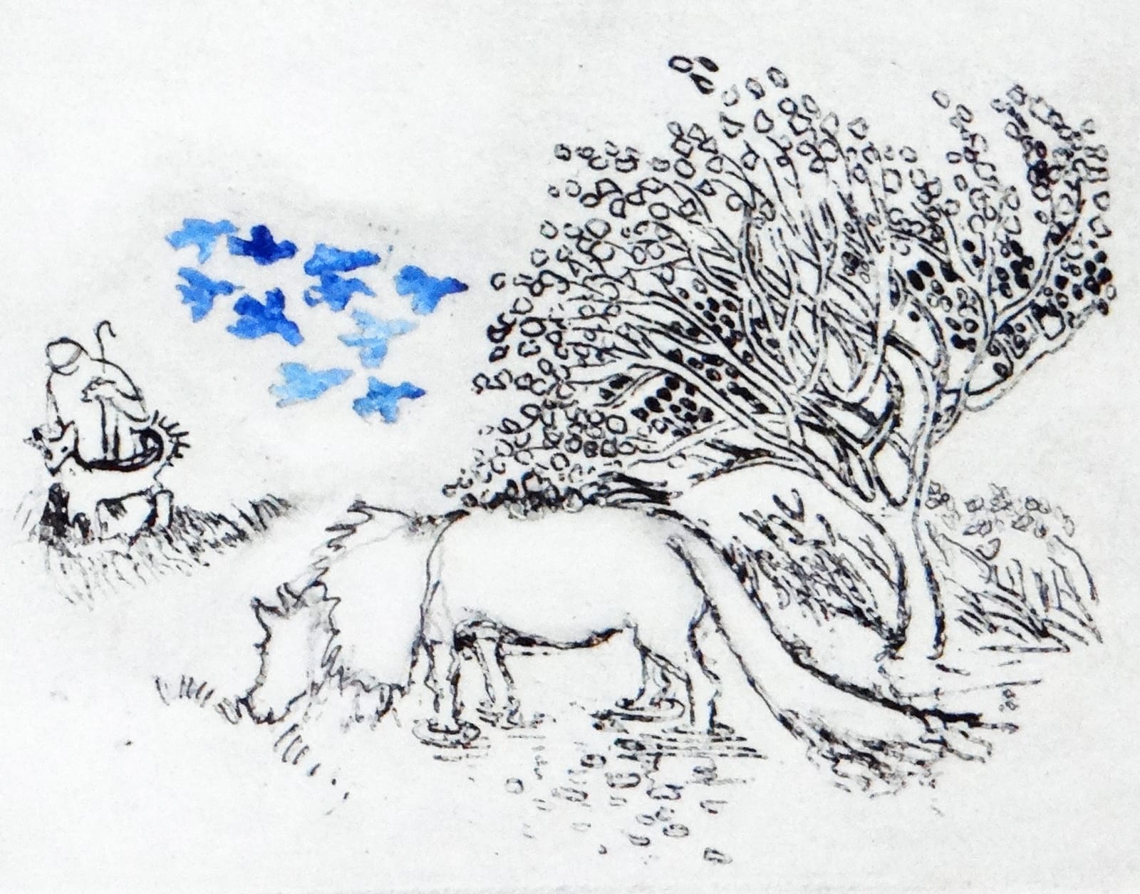 Rosamund Jones RE, Icelandic Pony