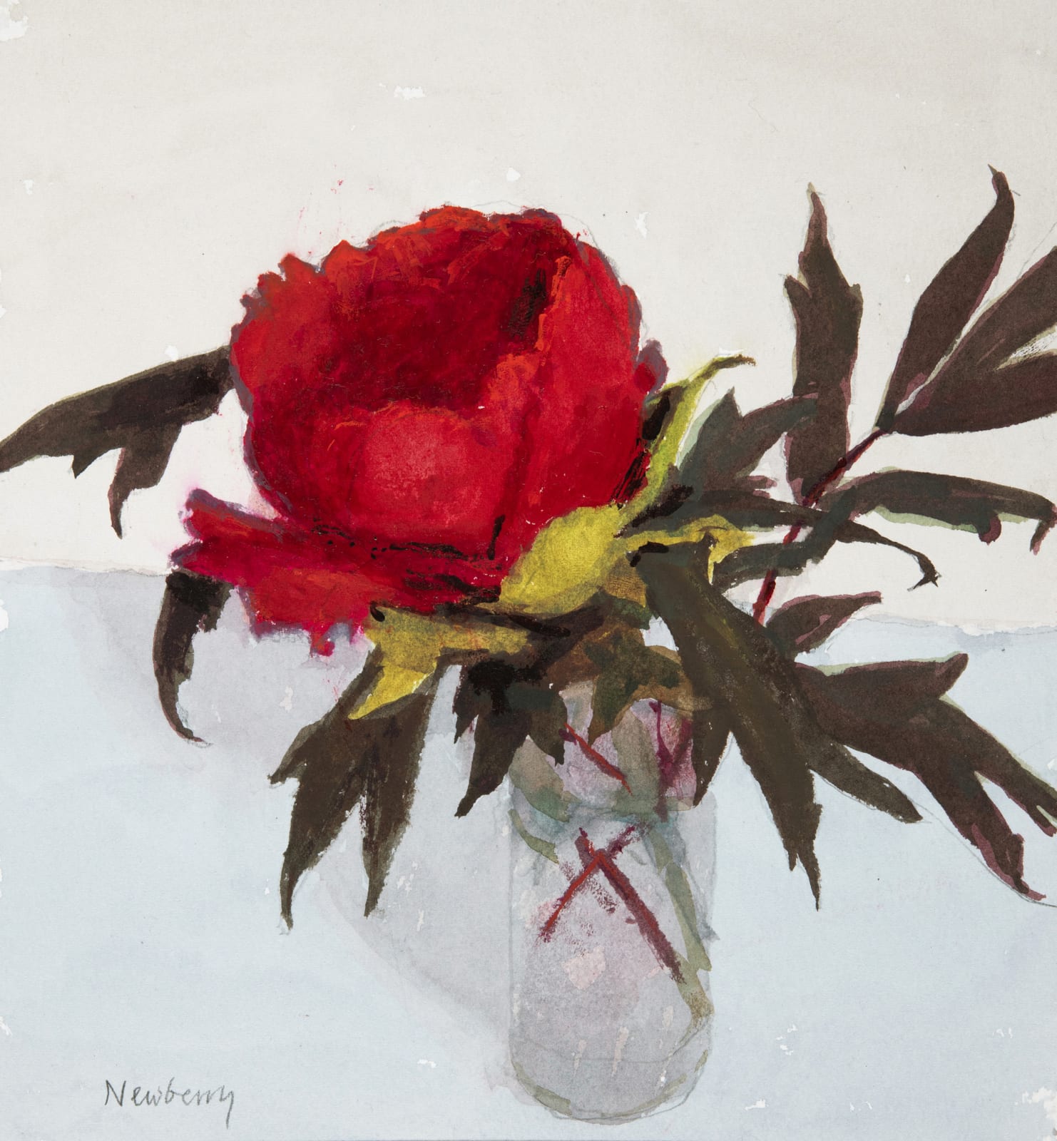 John Newberry RWS , Crimson Tree Peony