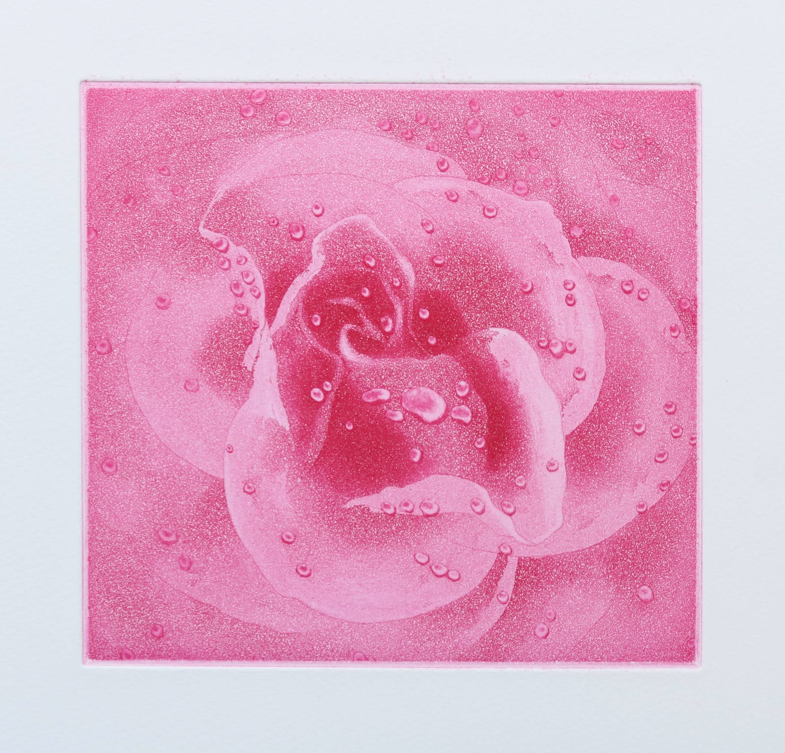 Emiko Aida RE, Secret Of Pink Rose