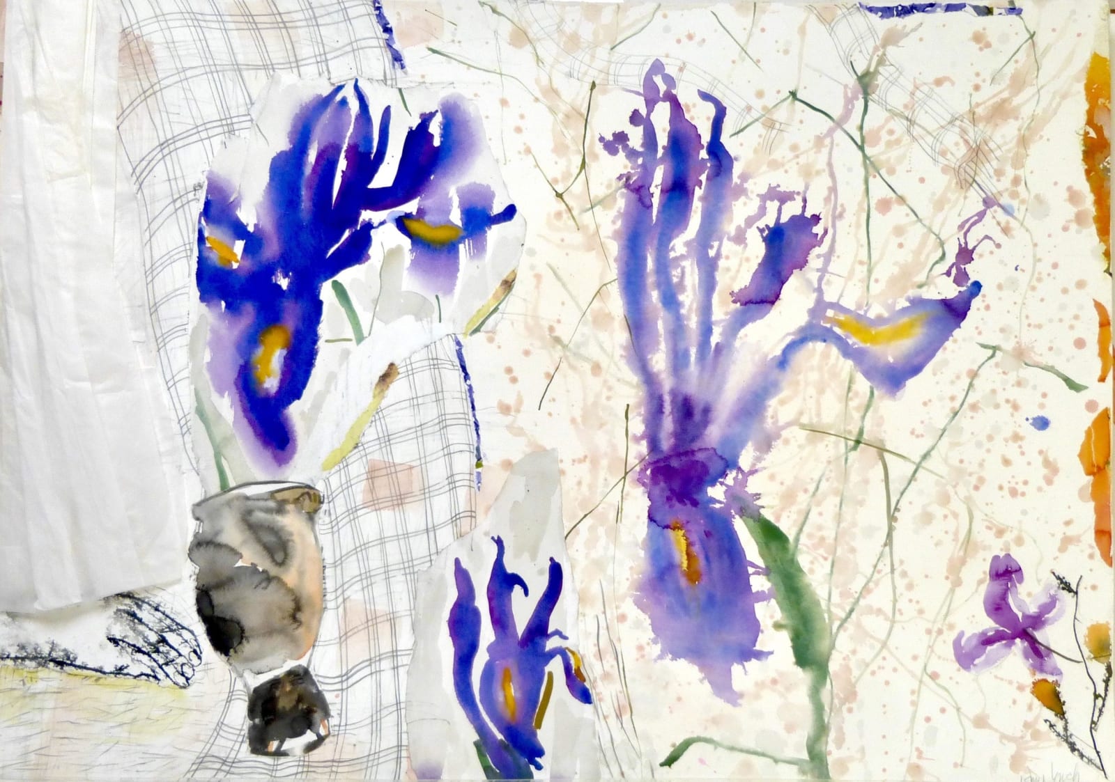 Anne Lynch VPRWS, Floating Iris