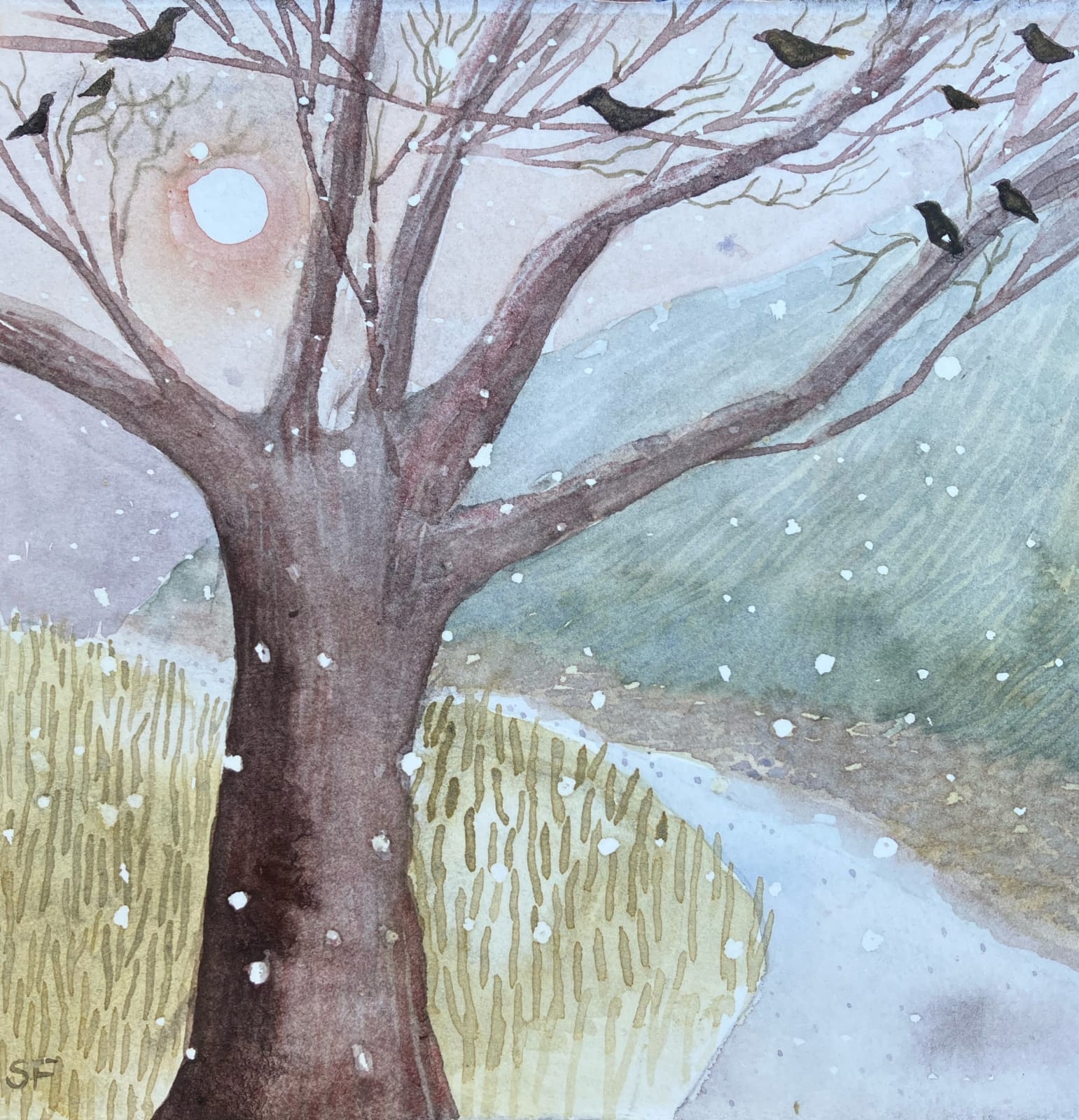 Suzy Fasht RWS, Flock