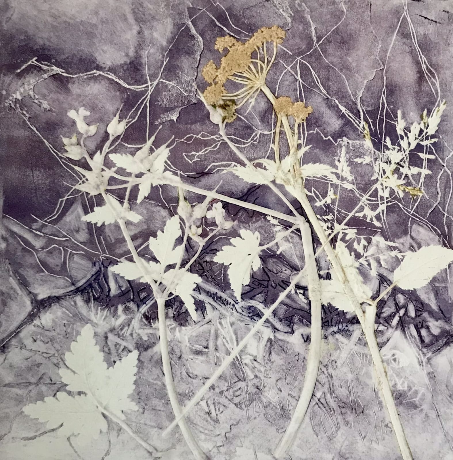 Jackie Newell RE, Dawn on Madeira Walk