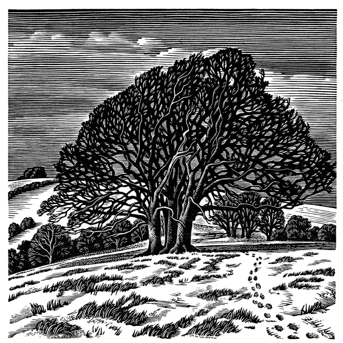 Howard Phipps ARE, Downs in Winter