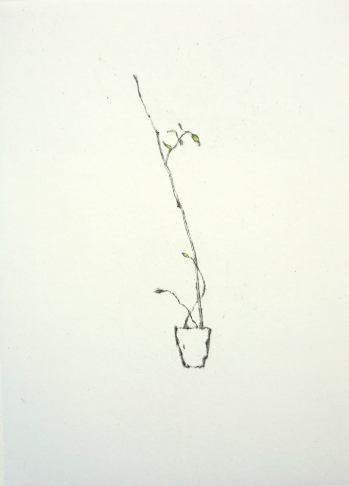 Lars Nyberg RE, Year 2021