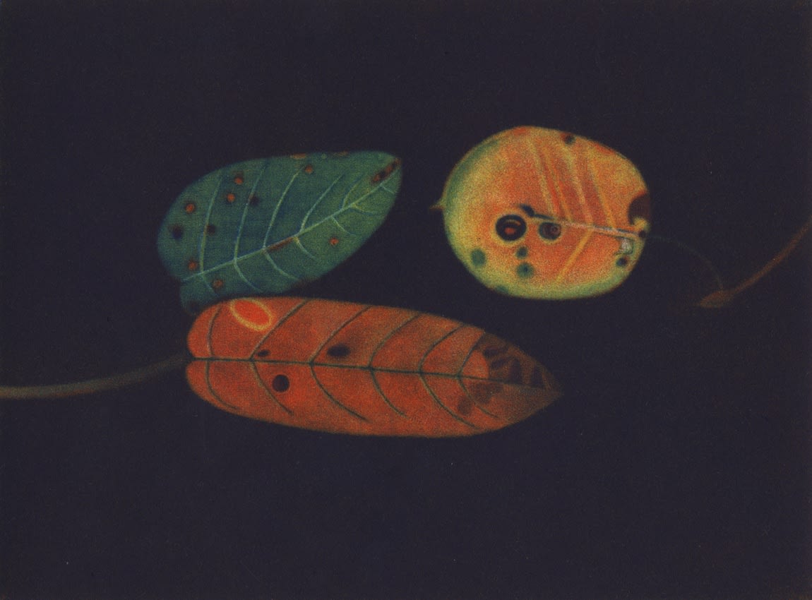 James McCreary ARE, Autumn Leaves III