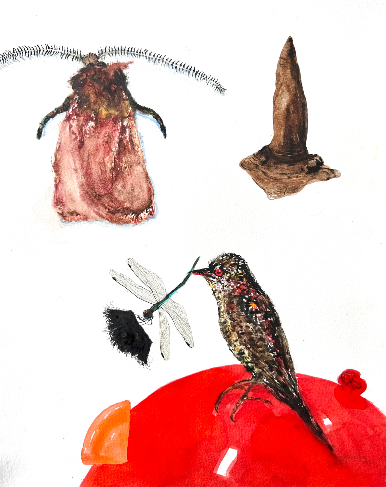 David Rees Davies ARWS, Ceredigion Curios