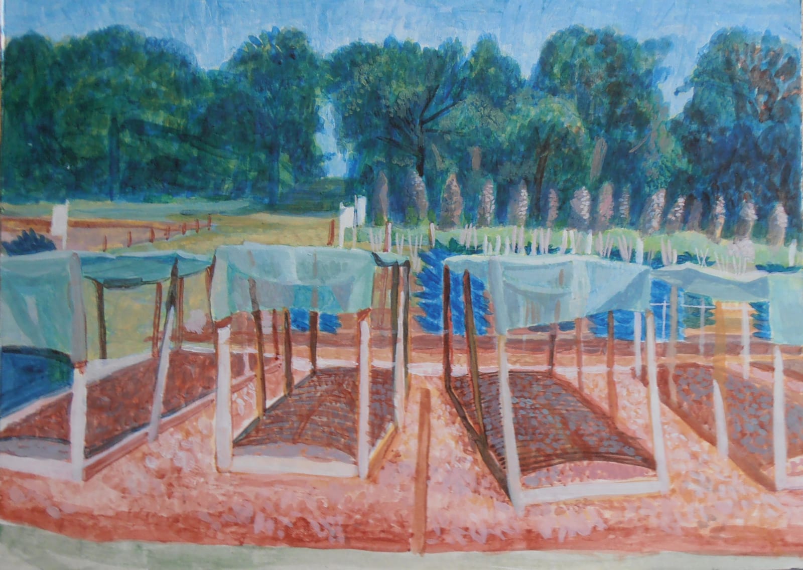 Michael Collins RWS, Wisley Study