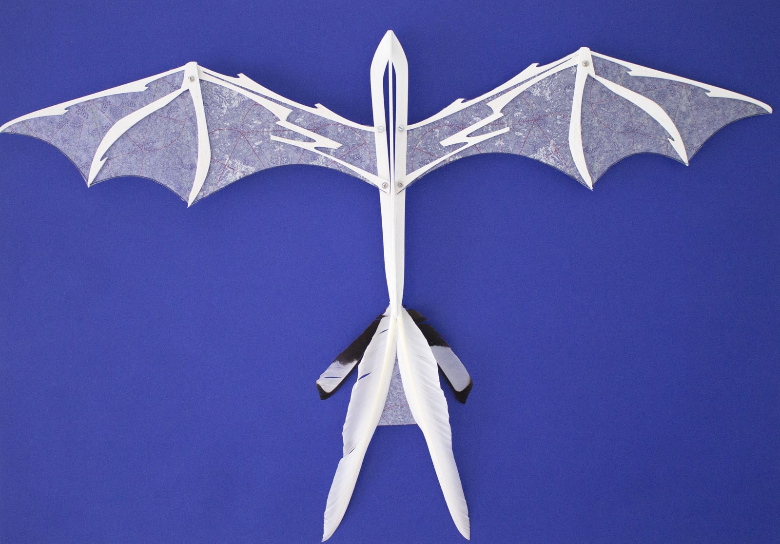 Stephen Hoskins RE, Aeolus 2