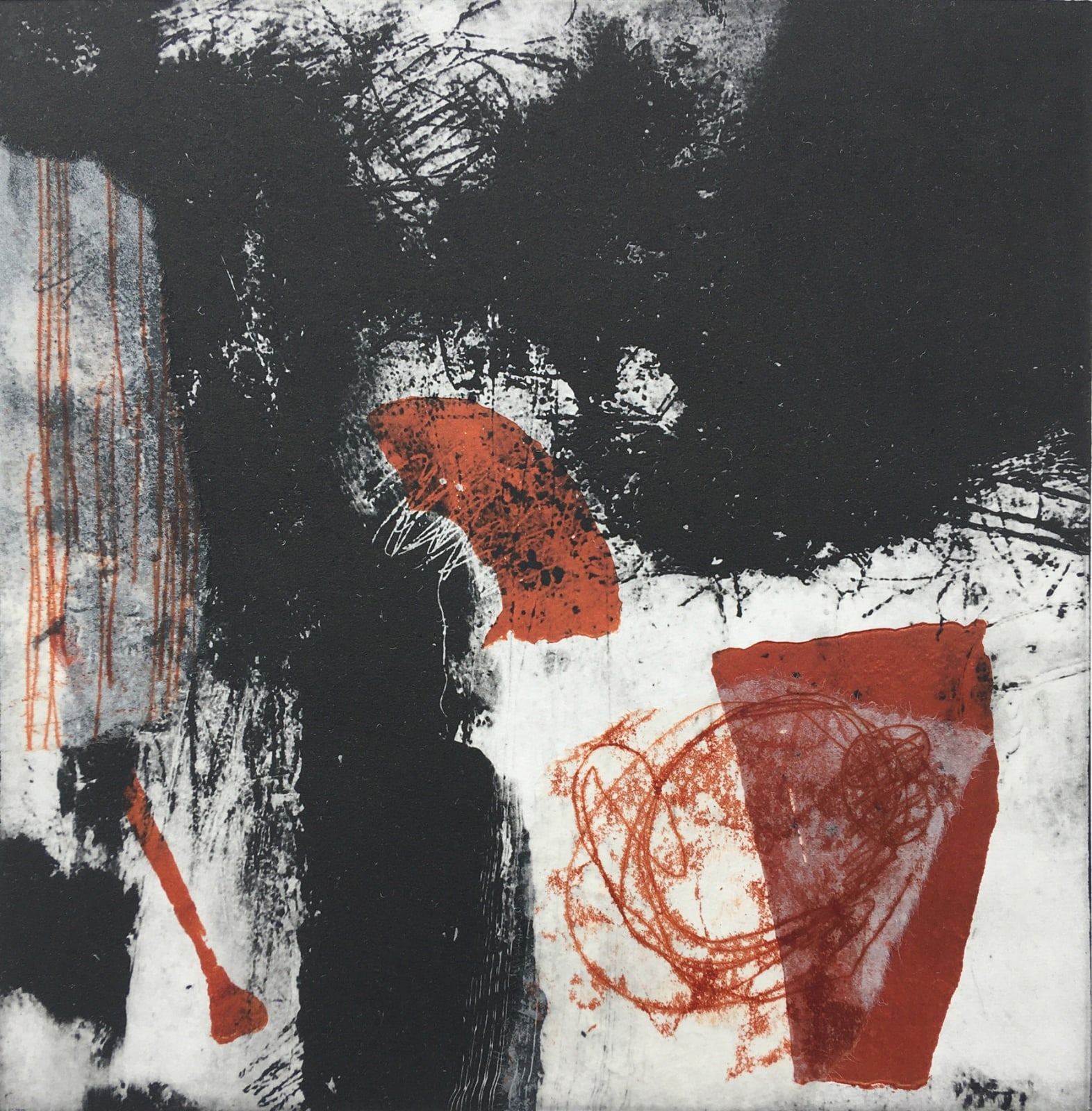 Bren Unwin PPRE Hon. RWS, Fraxinus