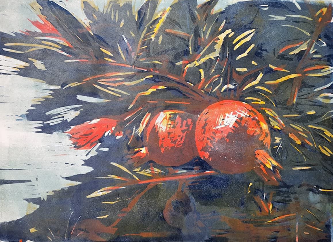 Hilary Daltry RE, Pomegranates