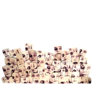 Pilar Muñoz RE, Gran Muro de la Inercia