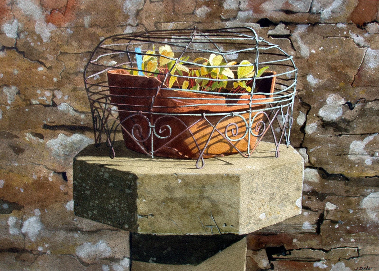 Jim Dunbar RWS, Epimedium