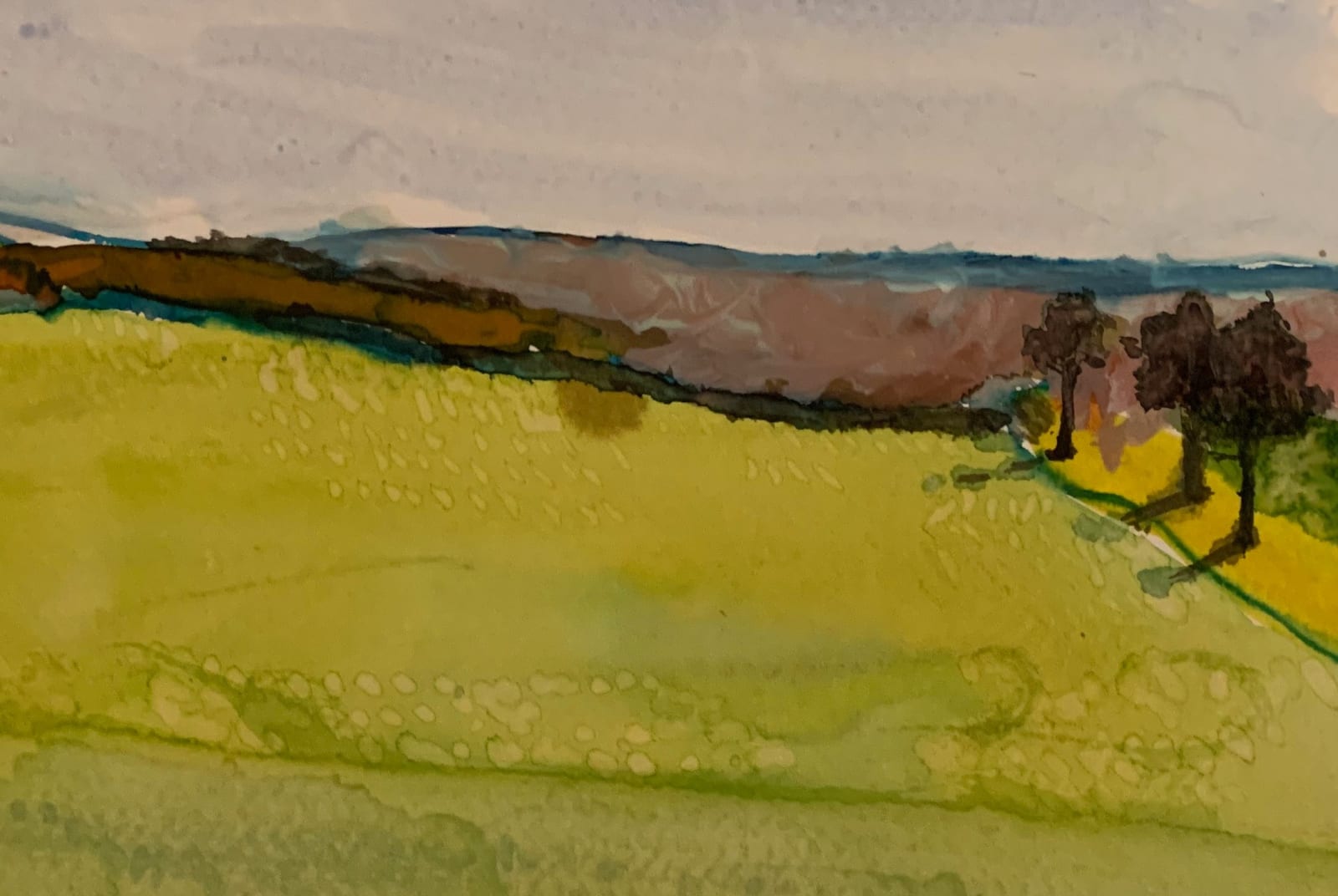 David Hamilton RWS, Racton Run