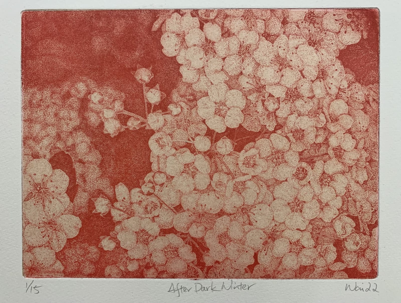 Wai Wong ARE, After Dark Winter