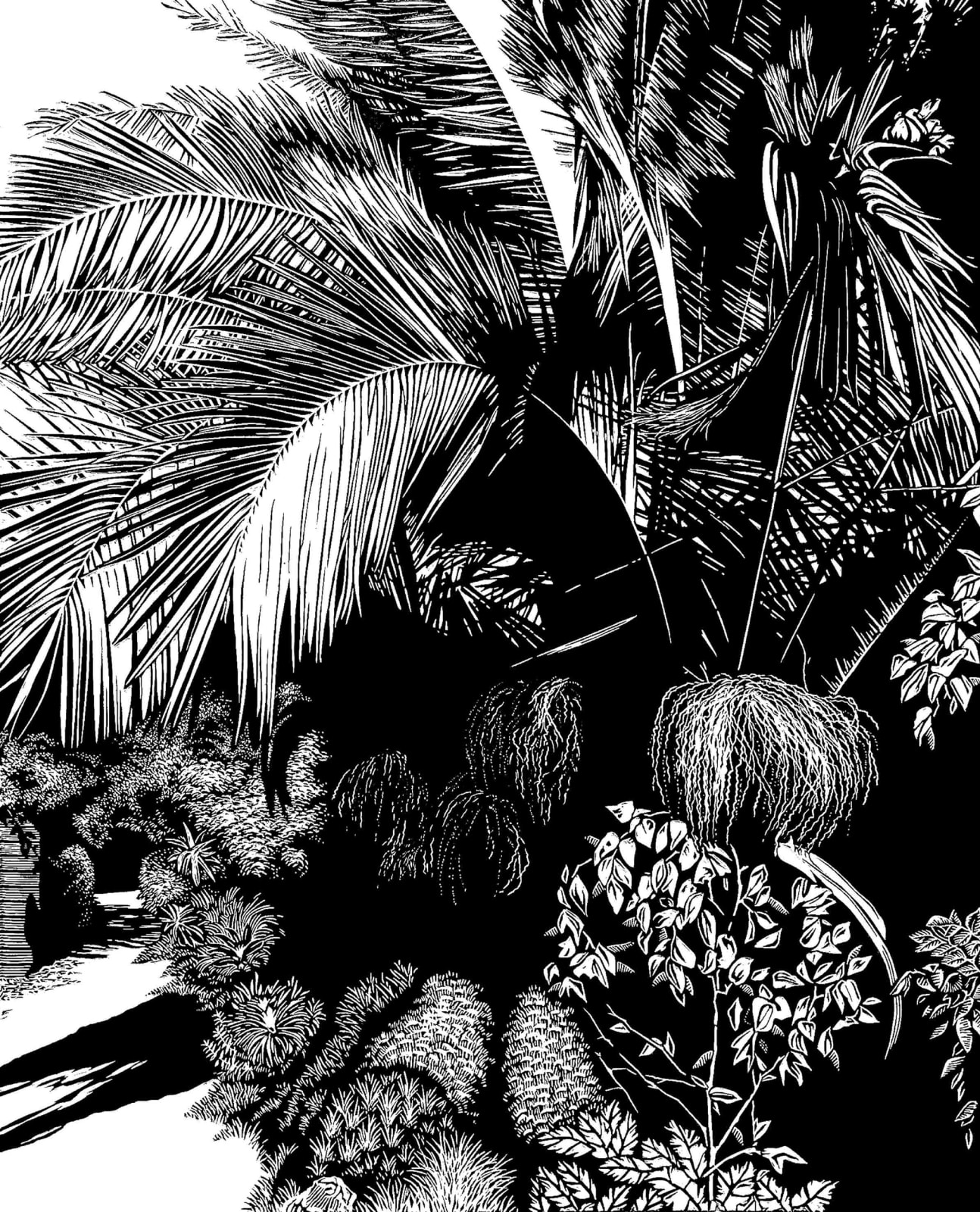 Blaze Cyan RE, Palm Walk