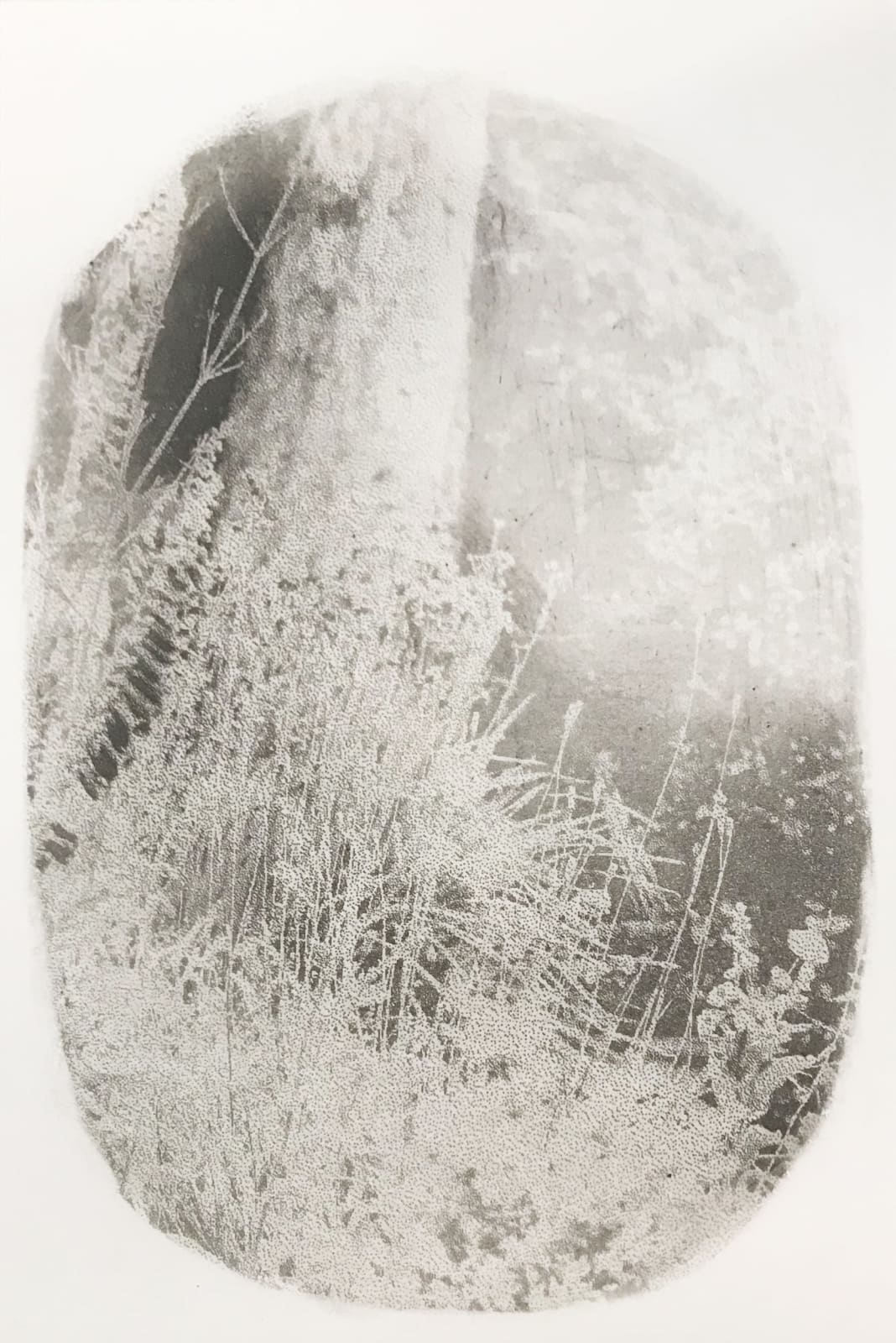 Margaret Ashman RE, Wild Garden 1