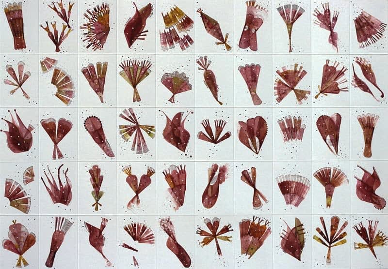 Rika Newcombe RWS, Florilegium no.2