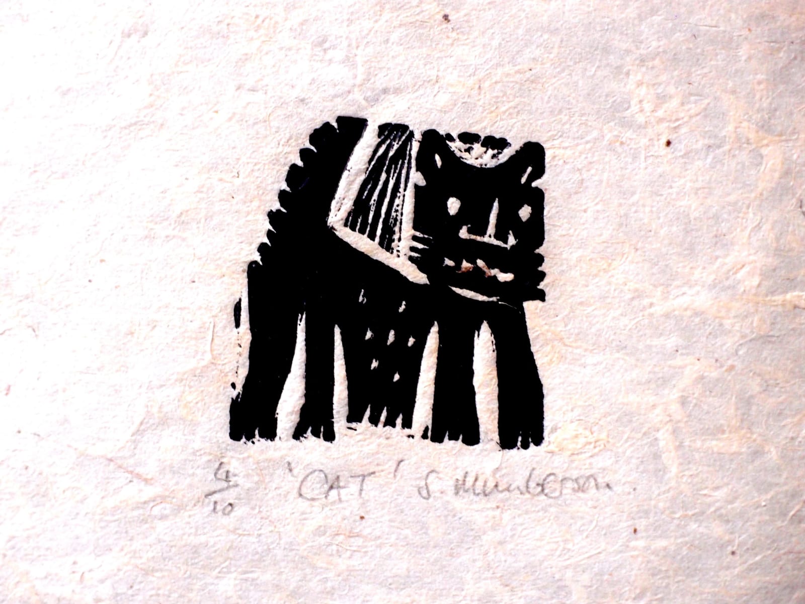 Stephen Mumberson RE, Cat