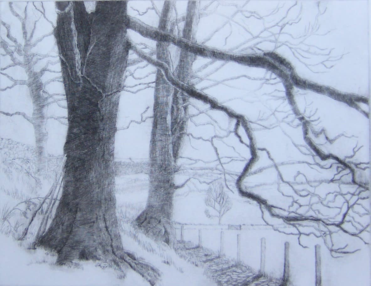 Ann Le Bas RE, Winter Trees