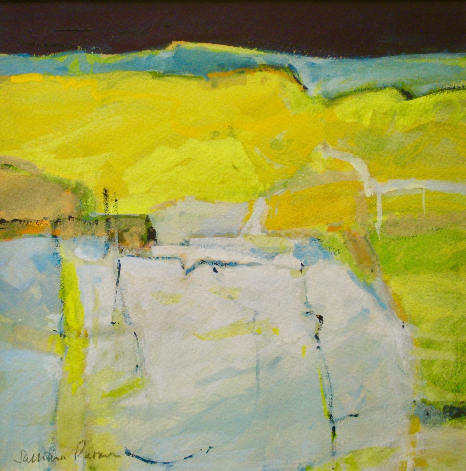 Salliann Putman RWS, White Field