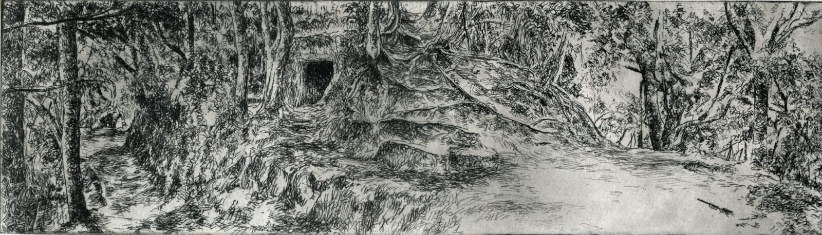 Austin Cole RE, Kamakurra Trail 6