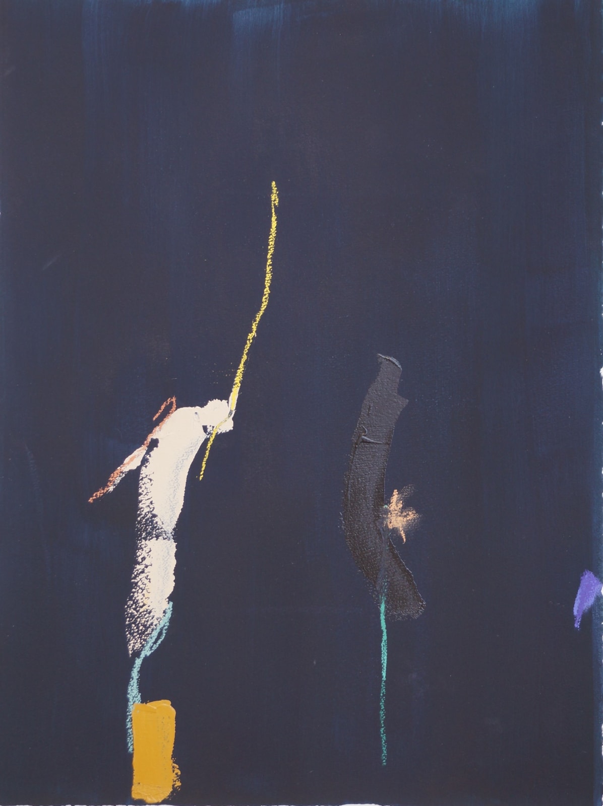 Patricia Paolozzi Cain ARWS, Allens Garden