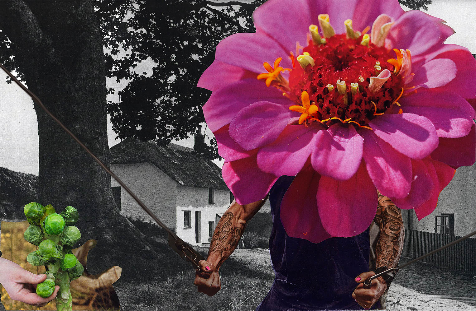 David Ferry PRE, Pulling Weights...The Personal Trainer (from the Village Types Suite)