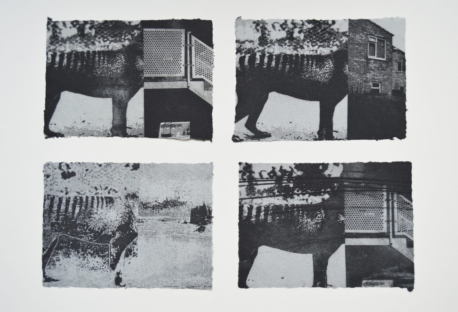 Ian Rawlinson ARE, Chimera (Multiples)